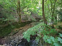 Vom Mägdesprung zum Waldgagsthof Bild: Vom Mägdesprung zum Waldgagsthof