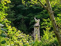 Vom Mägdesprung zum Waldgagsthof Bild: Vom Mägdesprung zum Waldgagsthof