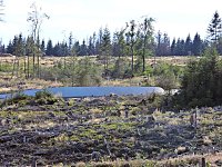Bild: Unterwegs in Schierke