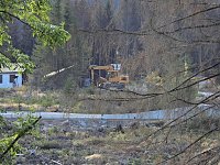 Bild: Unterwegs in Schierke