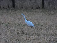 Bild: Peter Blei unterwegs am Stausee Kelbra