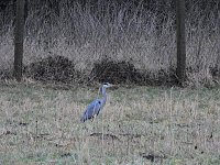 Bild: Peter Blei unterwegs am Stausee Kelbra