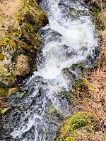 Sonntags in Stiege/Harz Bild: Sonntags in Stiege/Harz