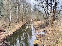 Sonntags in Stiege/Harz Bild: Sonntags in Stiege/Harz