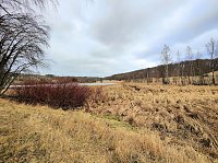 Sonntags in Stiege/Harz Bild: Sonntags in Stiege/Harz