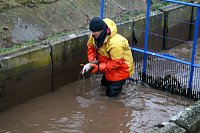 Bild: Fische umgesetzt 