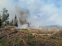 Bild: Waldbrand im Birkenmoor