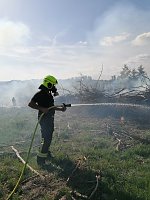 Bild: Waldbrand im Birkenmoor