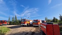 Bild: Waldbrand im Birkenmoor