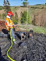 Bild: Waldbrand im Birkenmoor
