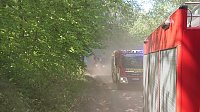 Bild: Waldbrand im Birkenmoor