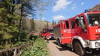 Bild: Waldbrand im Birkenmoor