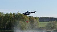 Bild: Waldbrand im Birkenmoor