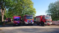 Bild: Waldbrand im Birkenmoor