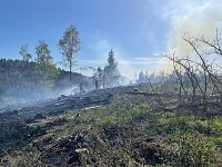 Bild: Waldbrand im Birkenmoor