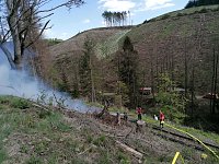 Bild: Waldbrand im Birkenmoor