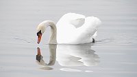 Bild: Unterwegs in der Goldenen Aue