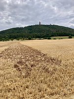 Bild: Am Fu&szlig;e des Kyffh&auml;user entsteht ein Bodenbild zu Ehren Friedrich Barbarossas