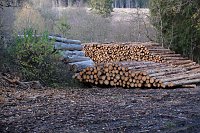 Bild: Peter Blei unterwegs im Harz