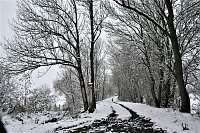 Winterimpressionen aus Kelbra Bild: Winterimpressionen aus Kelbra