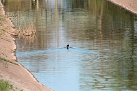 Abends am Stausee Bild: Abends am Stausee