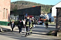 Bild: Maibaum in Kelbra gesetzt