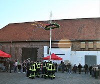 Bild: Maibaum in Kelbra gesetzt