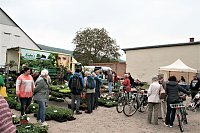 Bild: Bauernmarkt in Kelbra