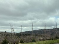 Bild: Oberharz bei Torfhaus