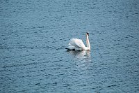 Bild: Am Stausee in Kelbra