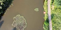 Die Wunder der Natur eingefangen von der Kamera Bild: Die Wunder der Natur eingefangen von der Kamera