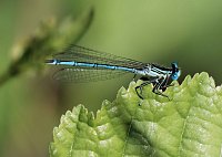 Die Wunder der Natur eingefangen von der Kamera Bild: Die Wunder der Natur eingefangen von der Kamera