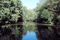 Die Wunder der Natur eingefangen von der Kamera Bild: Die Wunder der Natur eingefangen von der Kamera