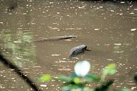 Die Wunder der Natur eingefangen von der Kamera Bild: Die Wunder der Natur eingefangen von der Kamera