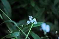 Die Wunder der Natur eingefangen von der Kamera Bild: Die Wunder der Natur eingefangen von der Kamera