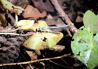 Die Wunder der Natur eingefangen von der Kamera Bild: Die Wunder der Natur eingefangen von der Kamera
