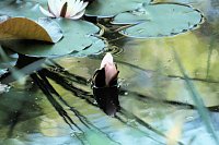 Die Wunder der Natur eingefangen von der Kamera Bild: Die Wunder der Natur eingefangen von der Kamera