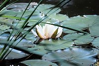 Die Wunder der Natur eingefangen von der Kamera Bild: Die Wunder der Natur eingefangen von der Kamera
