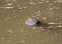 Die Wunder der Natur eingefangen von der Kamera Bild: Die Wunder der Natur eingefangen von der Kamera
