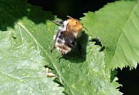 Die Wunder der Natur eingefangen von der Kamera Bild: Die Wunder der Natur eingefangen von der Kamera