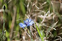 Die Wunder der Natur eingefangen von der Kamera Bild: Die Wunder der Natur eingefangen von der Kamera