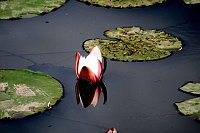 Die Wunder der Natur eingefangen von der Kamera Bild: Die Wunder der Natur eingefangen von der Kamera