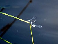 Die Wunder der Natur eingefangen von der Kamera Bild: Die Wunder der Natur eingefangen von der Kamera