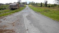 Der Weg vom Grillplatz in Richtung "Waldschlösschen", der einst von hohen Fichten rechts und links flankiert war. Bild: Der Weg vom Grillplatz in Richtung "Waldschlösschen", der einst von hohen Fichten rechts und links flankiert war.