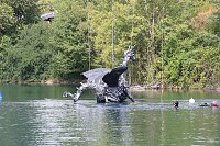 Bild: Drachen-Alarm am Sundh&auml;user Kiesteich