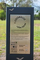 Bild: Flora und Fauna am Stausee Kelbra