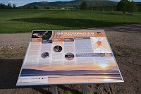 Bild: Flora und Fauna am Stausee Kelbra