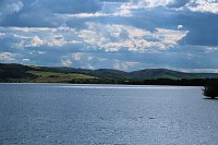 Bild: Flora und Fauna am Stausee Kelbra