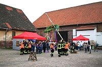 Bild: Maibaum gesetzt
