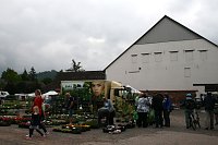 Bild: Bauernmarkt 